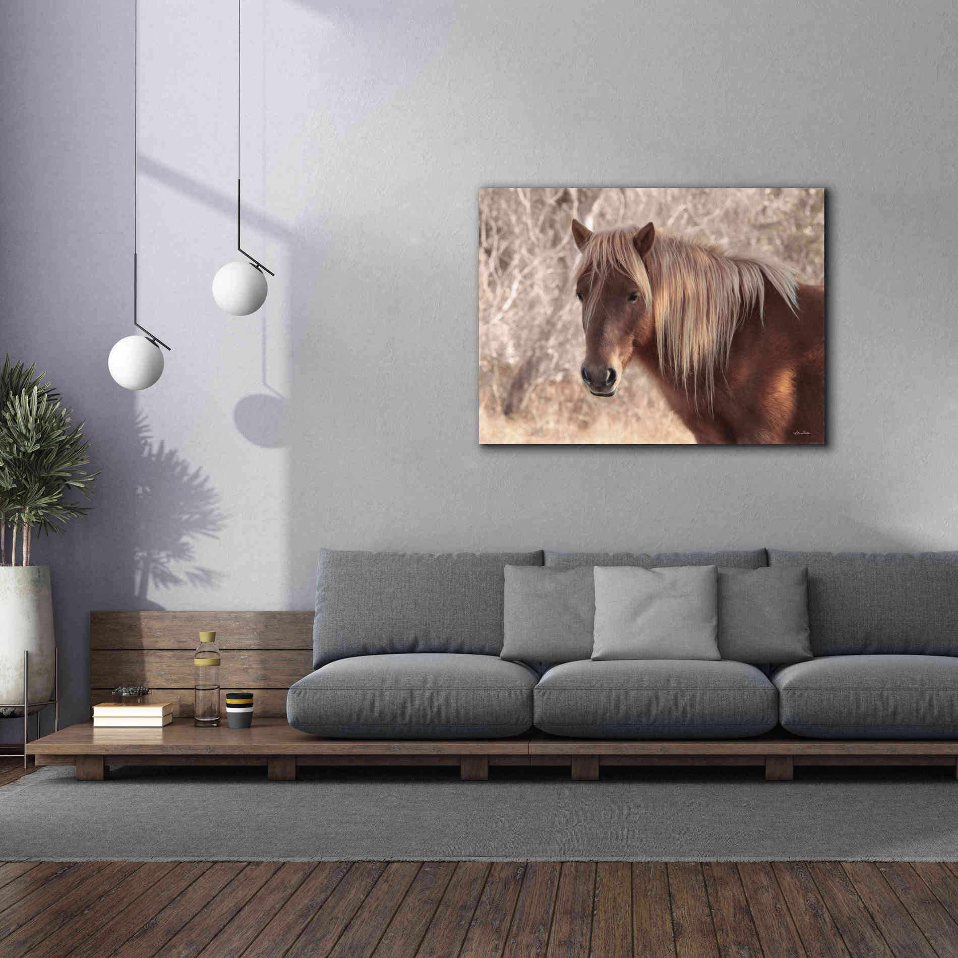'Assateague Horse Portrait' by Lori Deiter, Canvas Wall Art,54 x 40