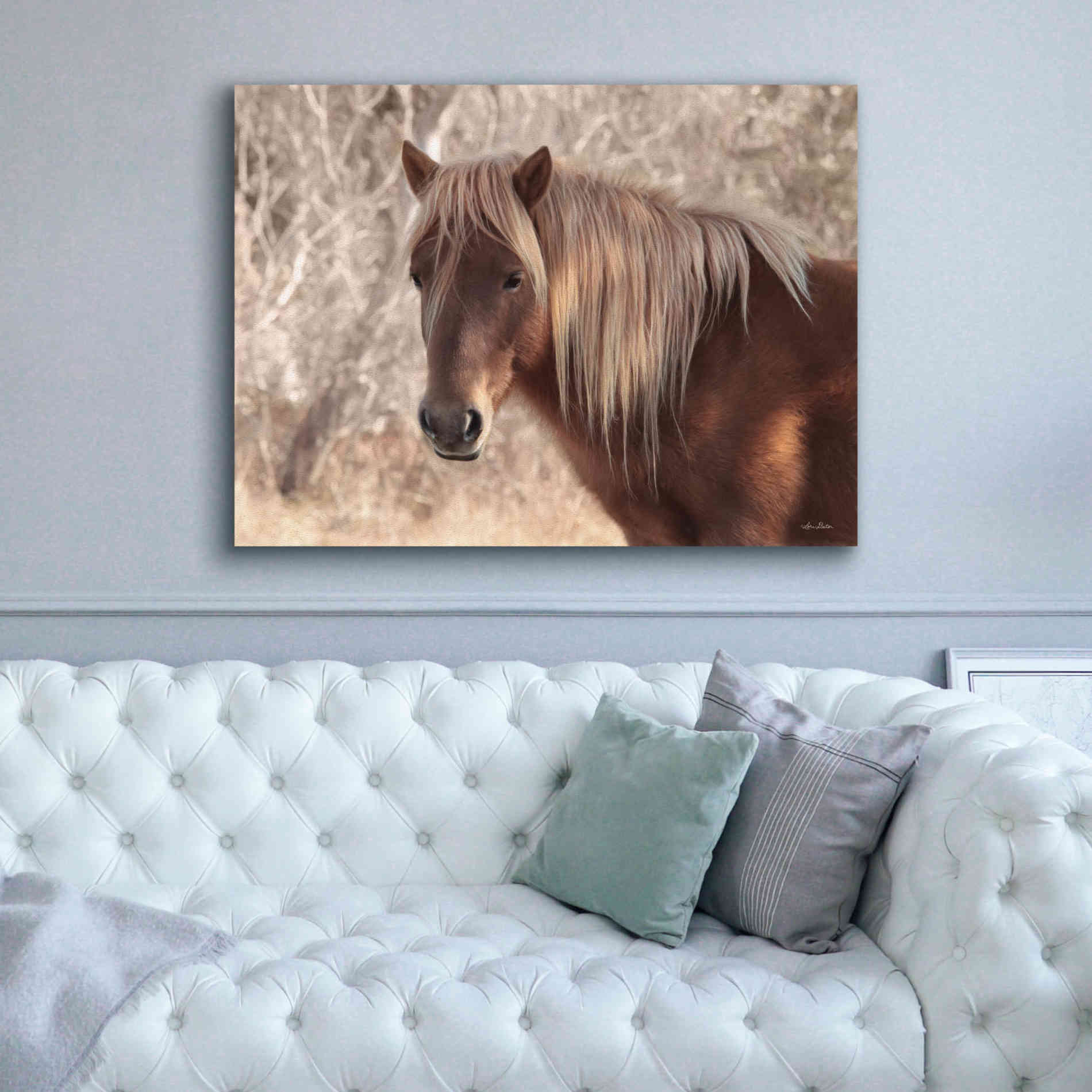 'Assateague Horse Portrait' by Lori Deiter, Canvas Wall Art,54 x 40