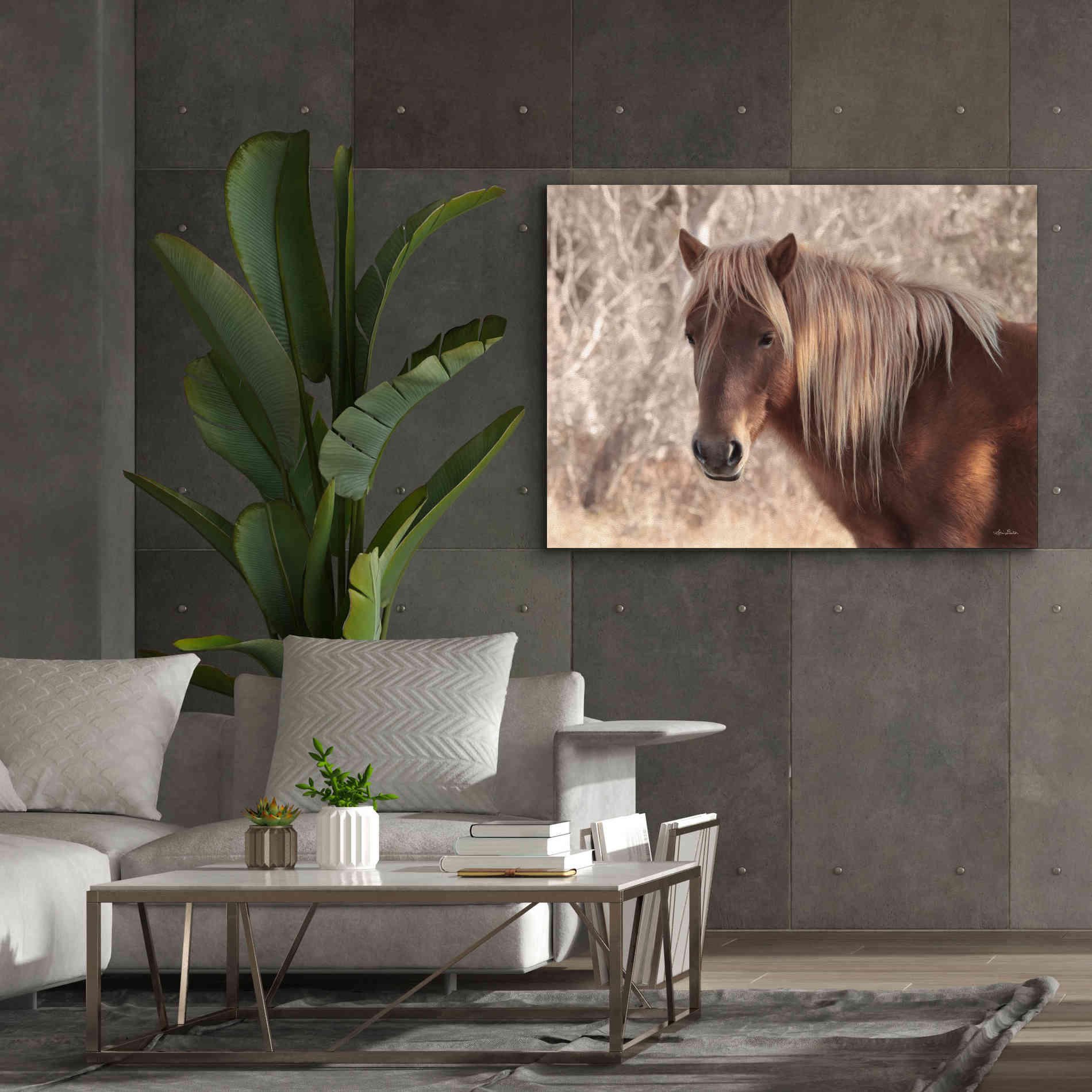 'Assateague Horse Portrait' by Lori Deiter, Canvas Wall Art,54 x 40