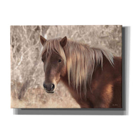 'Assateague Horse Portrait' by Lori Deiter, Canvas Wall Art