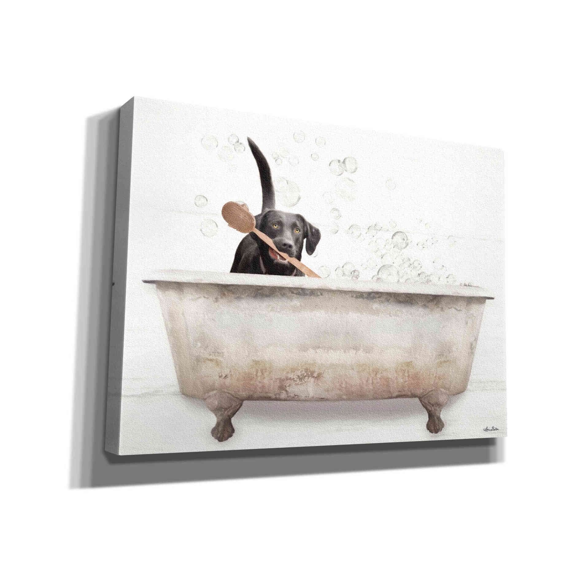'Scrubbing Bubbles' by Lori Deiter, Canvas Wall Art