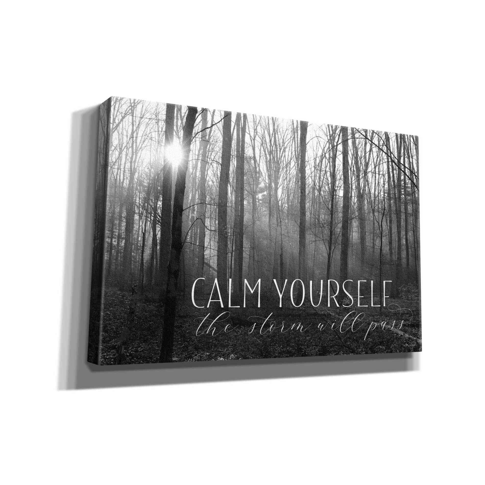 'Calm Yourself' by Lori Deiter, Canvas Wall Art
