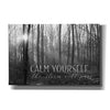 'Calm Yourself' by Lori Deiter, Canvas Wall Art