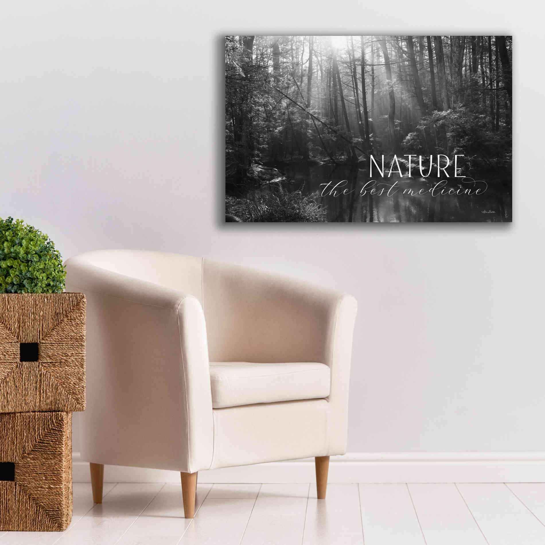'Nature - The Best Medicine' by Lori Deiter, Canvas Wall Art,40 x 26