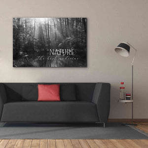 'Nature - The Best Medicine' by Lori Deiter, Canvas Wall Art,60 x 40