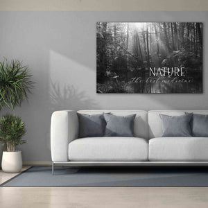 'Nature - The Best Medicine' by Lori Deiter, Canvas Wall Art,60 x 40