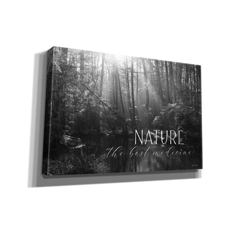 Image of 'Nature - The Best Medicine' by Lori Deiter, Canvas Wall Art