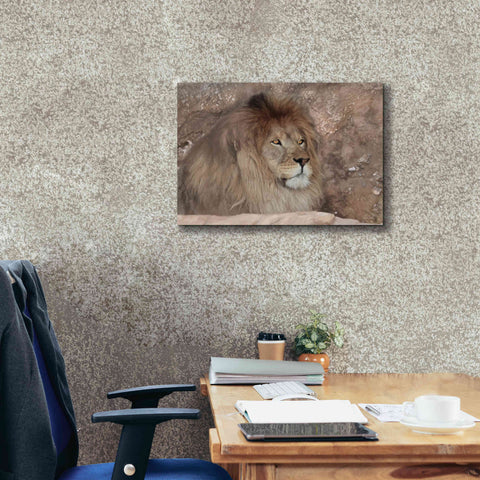 Image of 'Leo the Lion' by Lori Deiter, Canvas Wall Art,26 x 18
