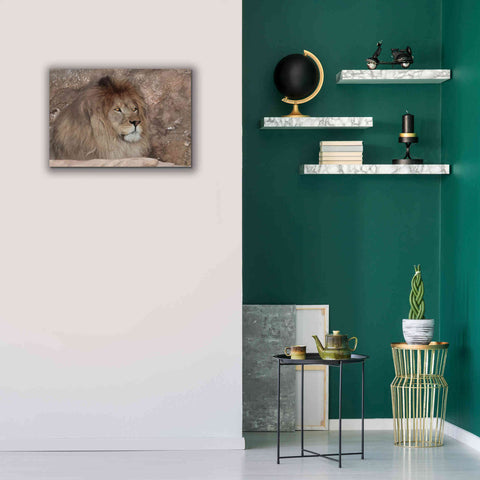 Image of 'Leo the Lion' by Lori Deiter, Canvas Wall Art,26 x 18