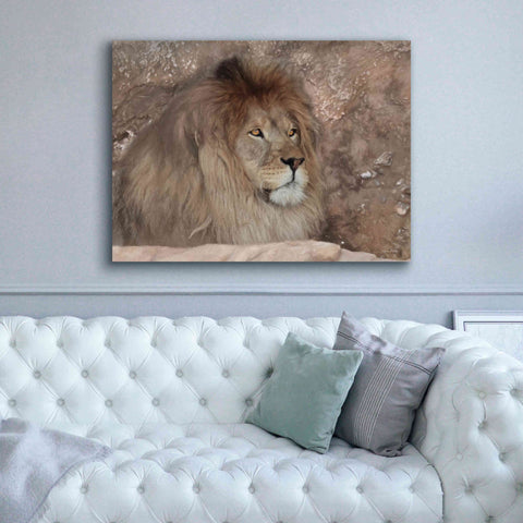 Image of 'Leo the Lion' by Lori Deiter, Canvas Wall Art,54 x 40