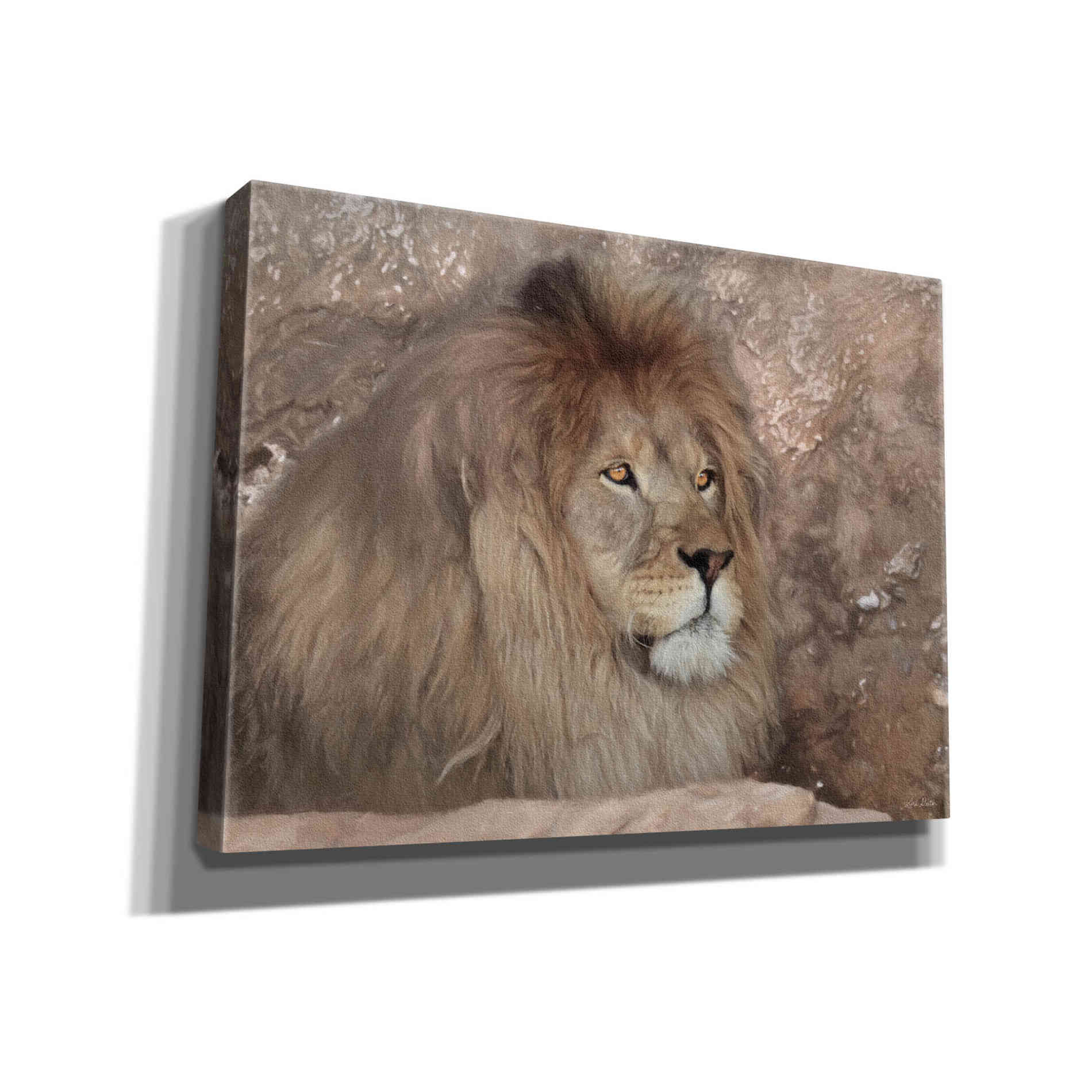'Leo the Lion' by Lori Deiter, Canvas Wall Art