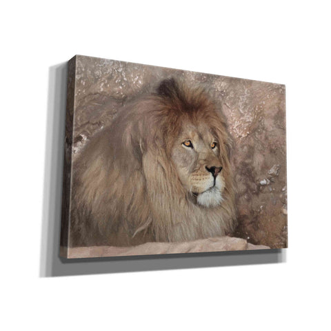 Image of 'Leo the Lion' by Lori Deiter, Canvas Wall Art