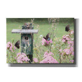'Summer Fantasy' by Lori Deiter, Canvas Wall Art