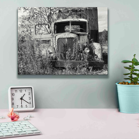 Image of 'Don't Leave Me Hanging' by Lori Deiter, Canvas Wall Art,16 x 12