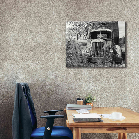 Image of 'Don't Leave Me Hanging' by Lori Deiter, Canvas Wall Art,34 x 26