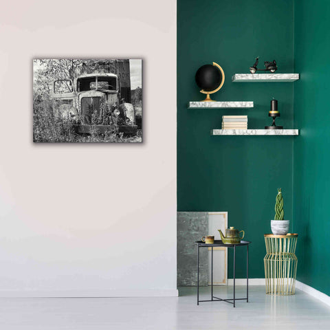 Image of 'Don't Leave Me Hanging' by Lori Deiter, Canvas Wall Art,34 x 26