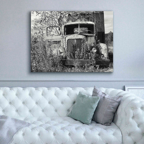 Image of 'Don't Leave Me Hanging' by Lori Deiter, Canvas Wall Art,54 x 40