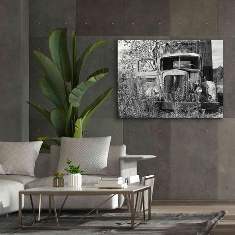 Image of 'Don't Leave Me Hanging' by Lori Deiter, Canvas Wall Art,54 x 40