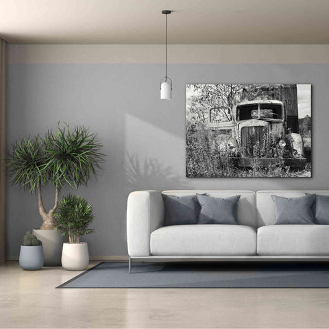 Image of 'Don't Leave Me Hanging' by Lori Deiter, Canvas Wall Art,54 x 40