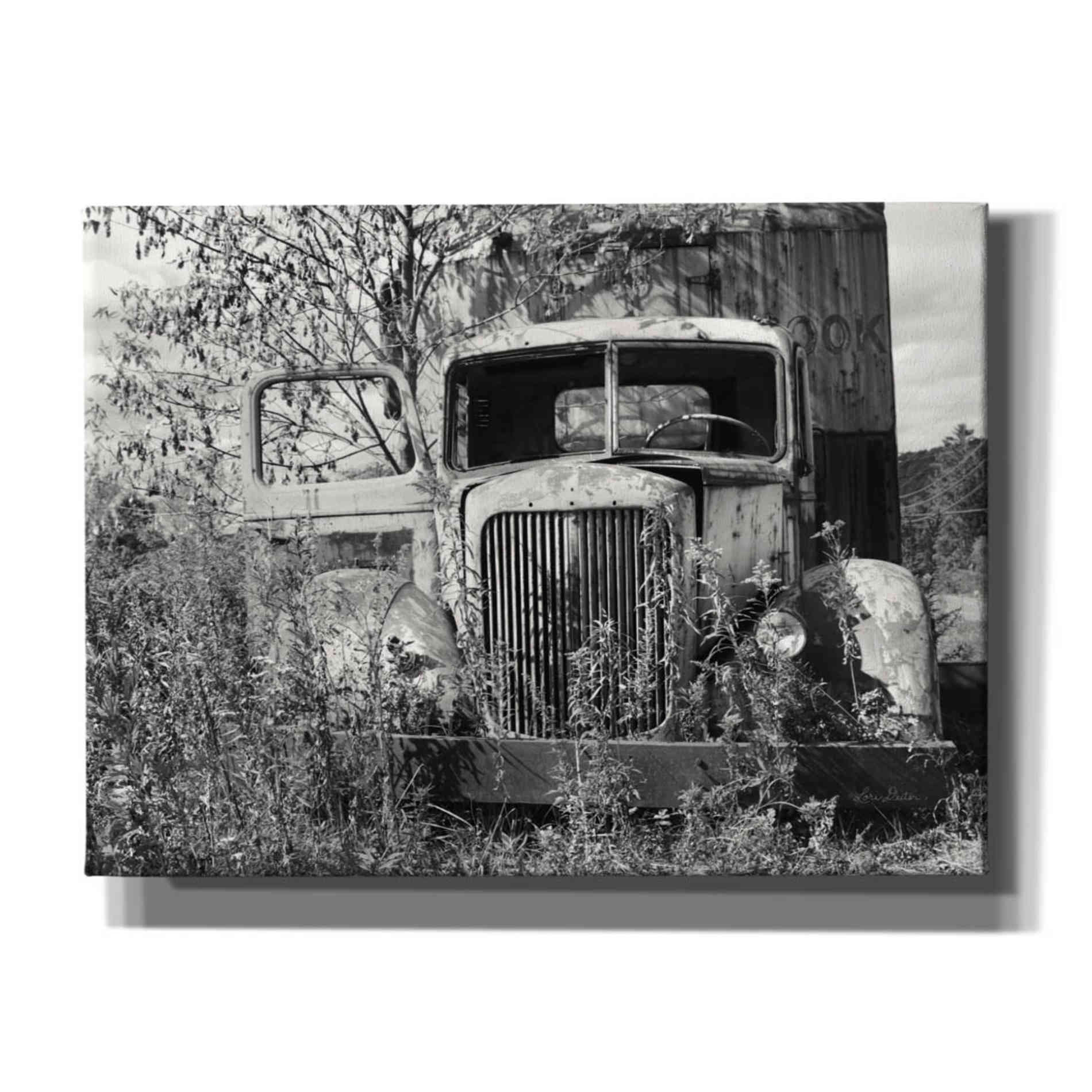 'Don't Leave Me Hanging' by Lori Deiter, Canvas Wall Art