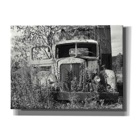 'Don't Leave Me Hanging' by Lori Deiter, Canvas Wall Art