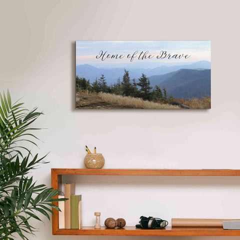 Image of 'Home of the Brave' by Lori Deiter, Canvas Wall Art,24 x 12