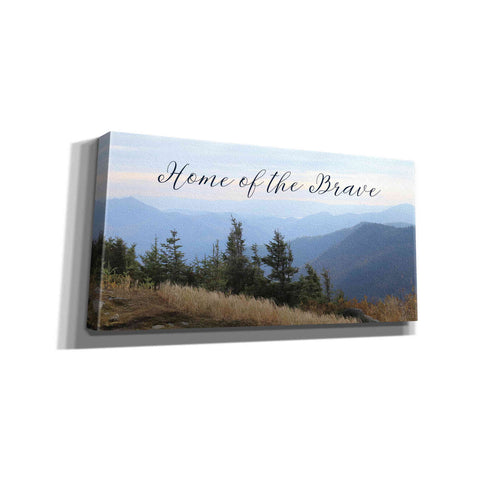 Image of 'Home of the Brave' by Lori Deiter, Canvas Wall Art