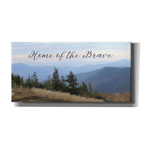 Image of 'Home of the Brave' by Lori Deiter, Canvas Wall Art