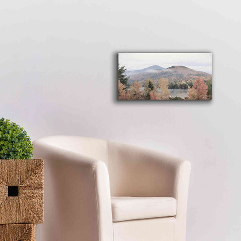 Image of 'Whiteface Mountain' by Lori Deiter, Canvas Wall Art,24 x 12
