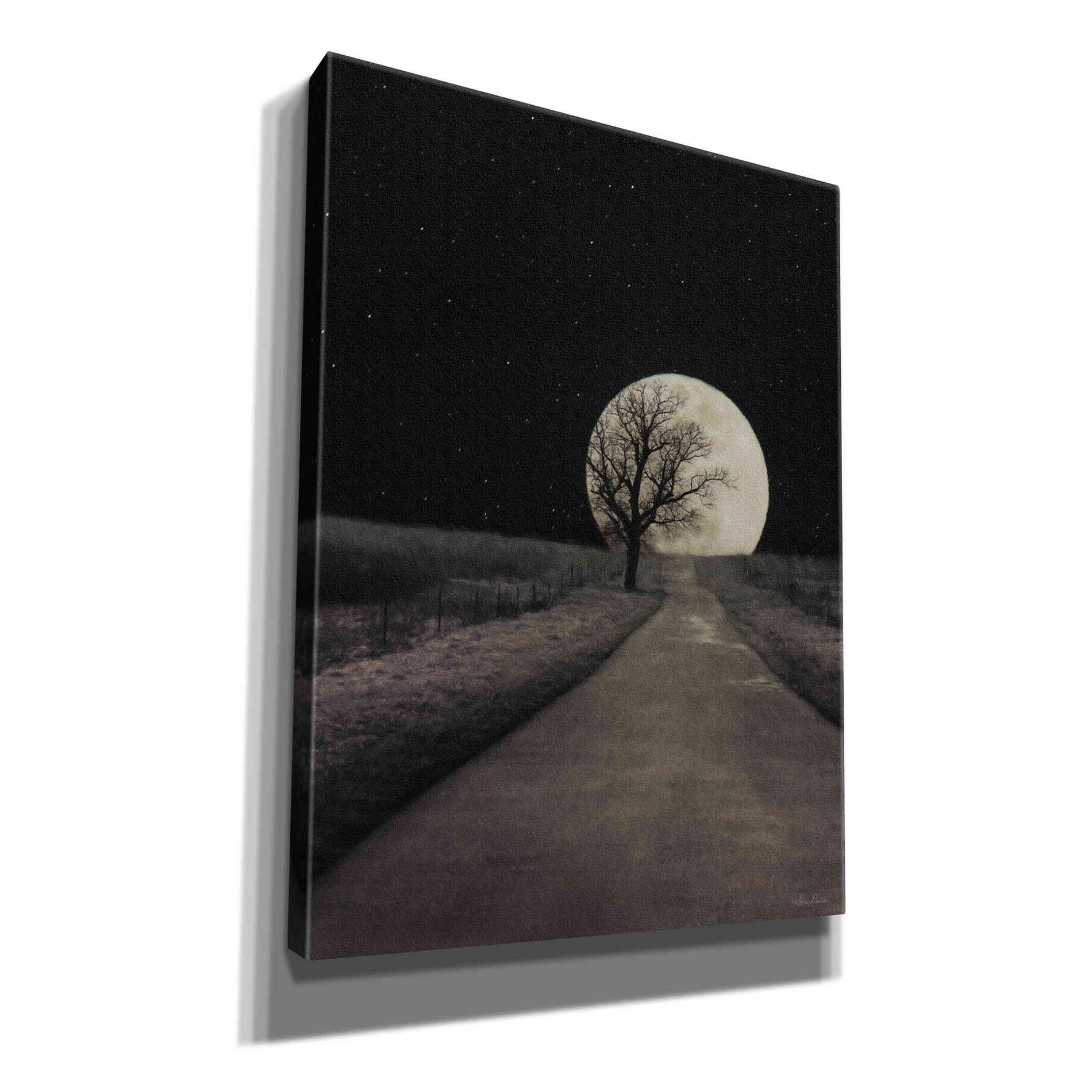 'Moonlit Country Road' by Lori Deiter, Canvas Wall Art