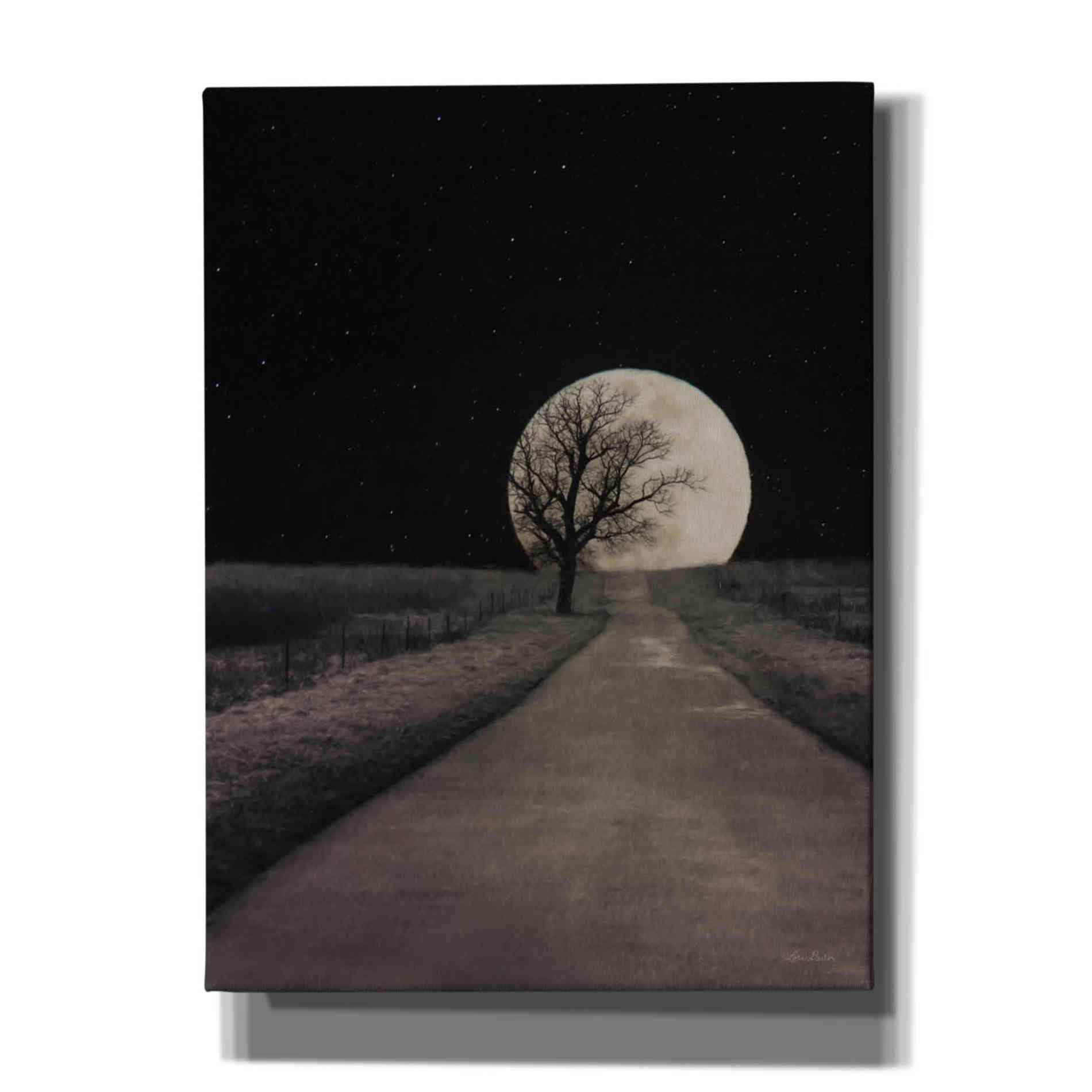 'Moonlit Country Road' by Lori Deiter, Canvas Wall Art