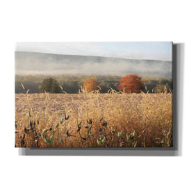 'Autumn Shades' by Lori Deiter, Canvas Wall Art