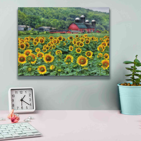 Image of 'Sunflower Field' by Lori Deiter, Canvas Wall Art,16 x 12