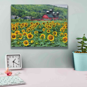 'Sunflower Field' by Lori Deiter, Canvas Wall Art,16 x 12