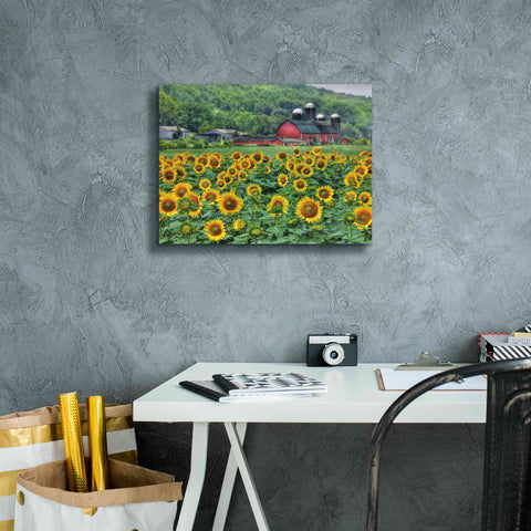 Image of 'Sunflower Field' by Lori Deiter, Canvas Wall Art,16 x 12