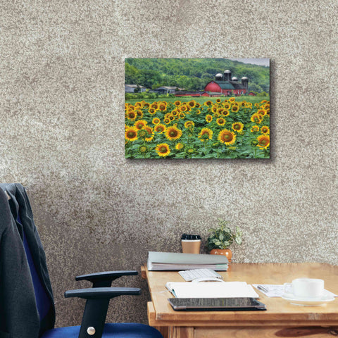 Image of 'Sunflower Field' by Lori Deiter, Canvas Wall Art,24 x 20
