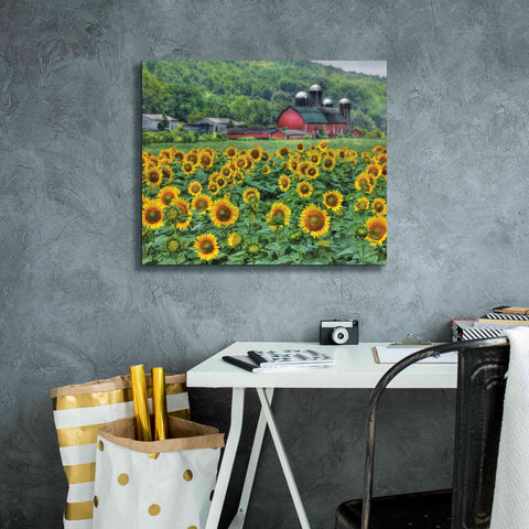 Image of 'Sunflower Field' by Lori Deiter, Canvas Wall Art,24 x 20