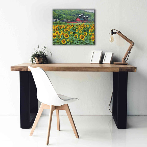 Image of 'Sunflower Field' by Lori Deiter, Canvas Wall Art,24 x 20