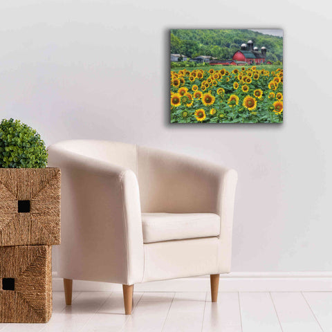 Image of 'Sunflower Field' by Lori Deiter, Canvas Wall Art,24 x 20