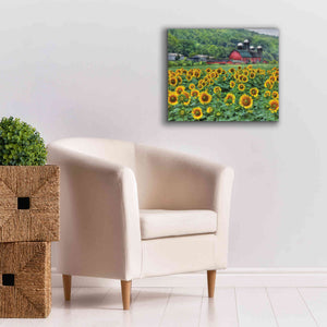 'Sunflower Field' by Lori Deiter, Canvas Wall Art,24 x 20