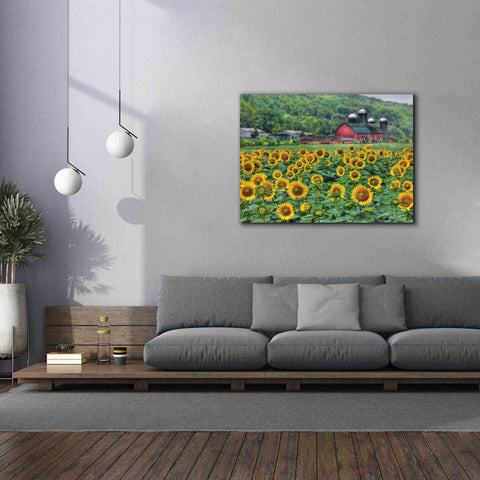 Image of 'Sunflower Field' by Lori Deiter, Canvas Wall Art,54 x 40