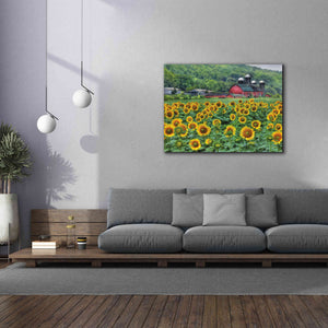 'Sunflower Field' by Lori Deiter, Canvas Wall Art,54 x 40