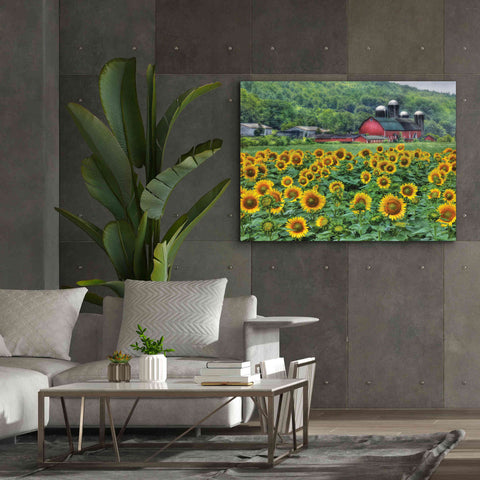 Image of 'Sunflower Field' by Lori Deiter, Canvas Wall Art,54 x 40