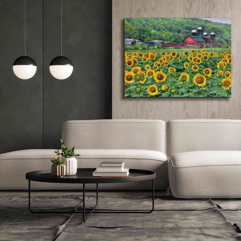 Image of 'Sunflower Field' by Lori Deiter, Canvas Wall Art,54 x 40