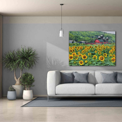 Image of 'Sunflower Field' by Lori Deiter, Canvas Wall Art,54 x 40