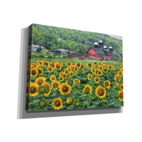 Image of 'Sunflower Field' by Lori Deiter, Canvas Wall Art