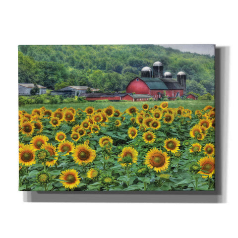 Image of 'Sunflower Field' by Lori Deiter, Canvas Wall Art