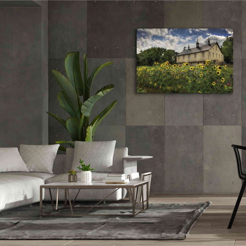 Image of 'Sunflower Garden' by Lori Deiter, Canvas Wall Art,60 x 40
