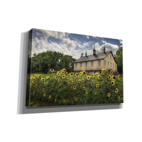 Image of 'Sunflower Garden' by Lori Deiter, Canvas Wall Art