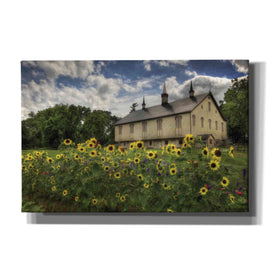 'Sunflower Garden' by Lori Deiter, Canvas Wall Art